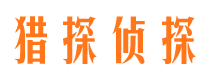 定安市场调查